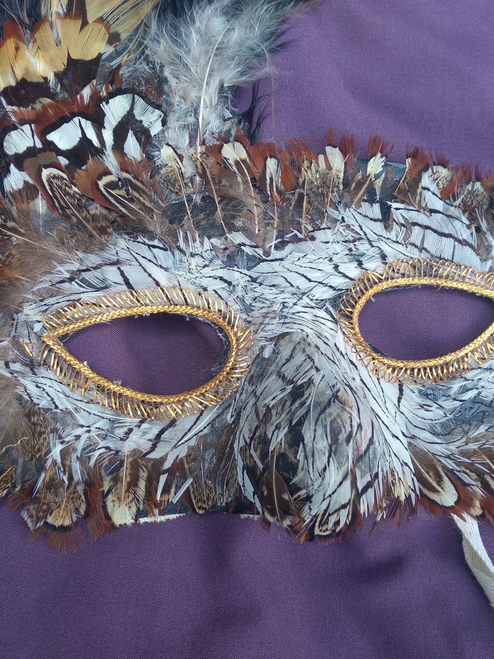 Masquerade Feather Eye Mask with Gold Trim - Brown, White, Purple